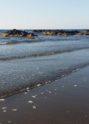 paralia_omega_2