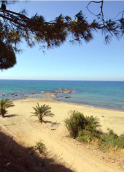 paralia_omega_6