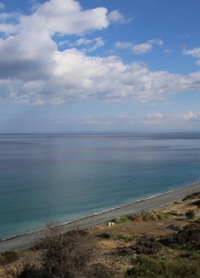 paralia_omega_4