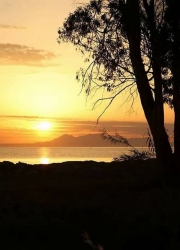 paralia_omega_7