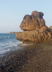 paralia_omega_3